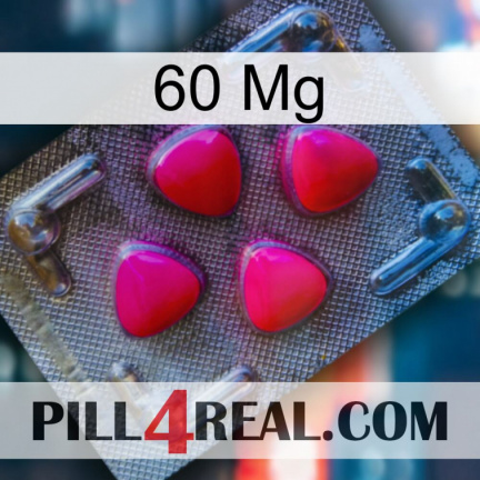60 Mg 13